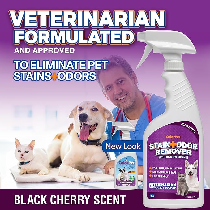 OdorPet Pet Stain Remover and Odor Eliminator - 16 Oz Ready To Use Spray, Non Staining, Professional Strength, Black Cherry Scent by Alpha Tech Pet