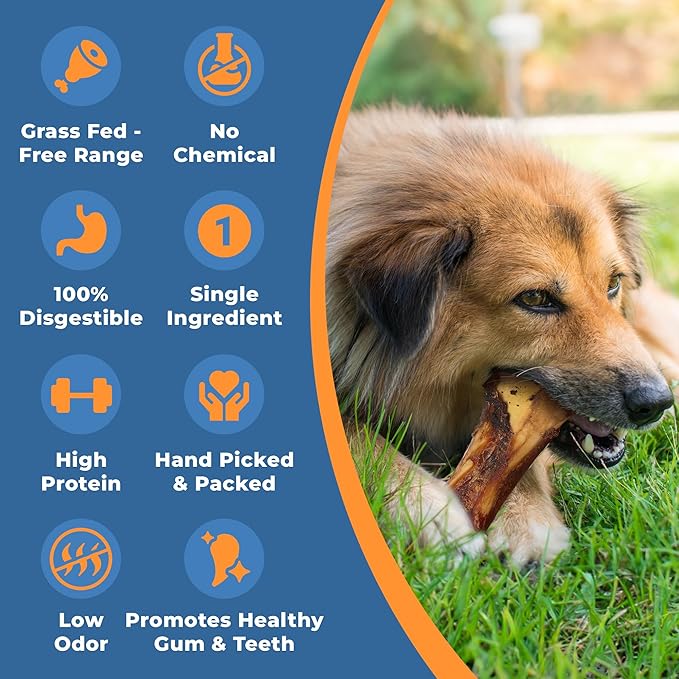 Beef Bone Marrow Dog Treats - Long Lasting Dog Bones for Aggressive Chewers - All-Natural Marrows Treats for Dogs - High-Protein Marrow Bones for Dogs Small, Medium, Large & Extra Large