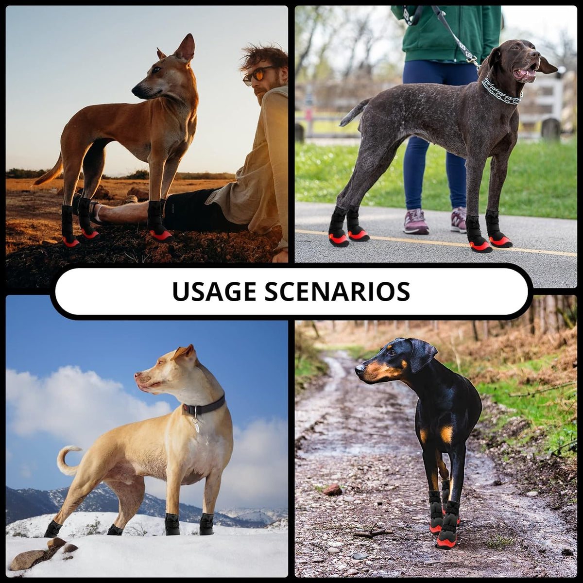 Dog Shoes for Hot Pavement Anti-Slip Dog Boots & Paw Protectors for Summer Rainy Day Dog Snow Boots Waterproof Dog Shoes for Small Medium Large Dogs with Reflective Straps for Hiking 4Pcs