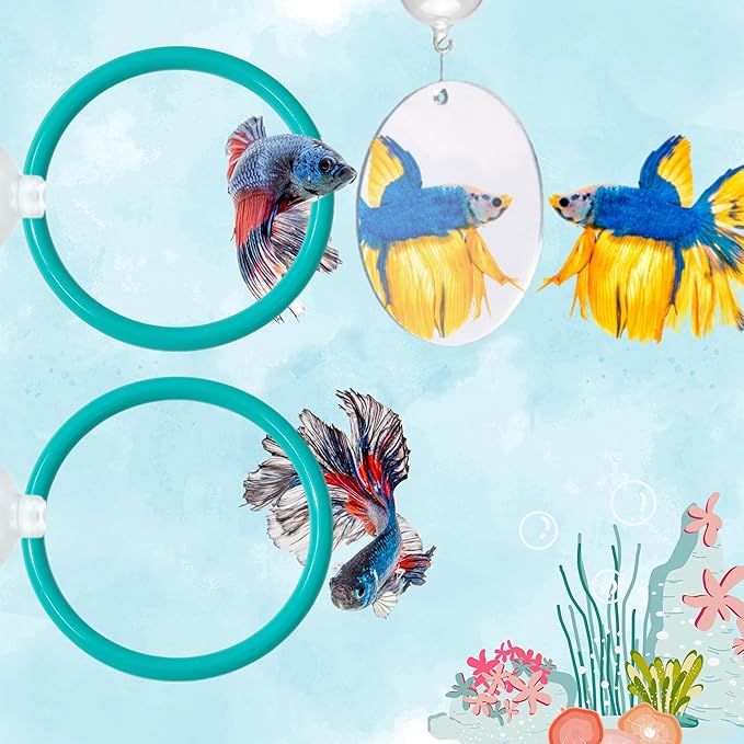 2 pcs Betta Ring Enrichment Toys with 1 pcs Betta Mirror, Exercise Training Ring and Floating Mirror for Fish Tank, Aquarium Feeding Rings with Floating Mirrors, Fish Toys, Bettas Toy (Teal, M-70mm)