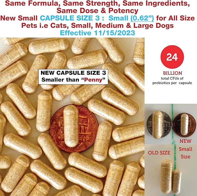 Azovast Plus Kidney Health Supplement for Dogs & Cats, 240ct - NO Refrigeration Required - Help Support Kidney Function & Manage Renal Toxins - Renal Care Supplement Capsule(U.S.A) (240 Caps)