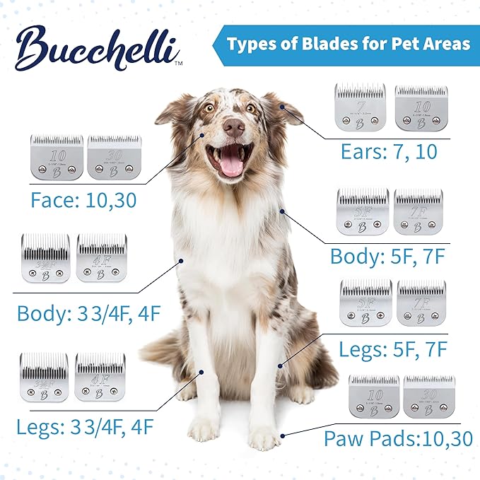 Detachable A Series 5/8 Blade Dog Grooming Cut Length 5/8" - 16mm Ideal for Large Trimming Areas Japanese Carbonized Steel Dog 16mm Replacement Blades | Compatible A5 Series(5/8HT)