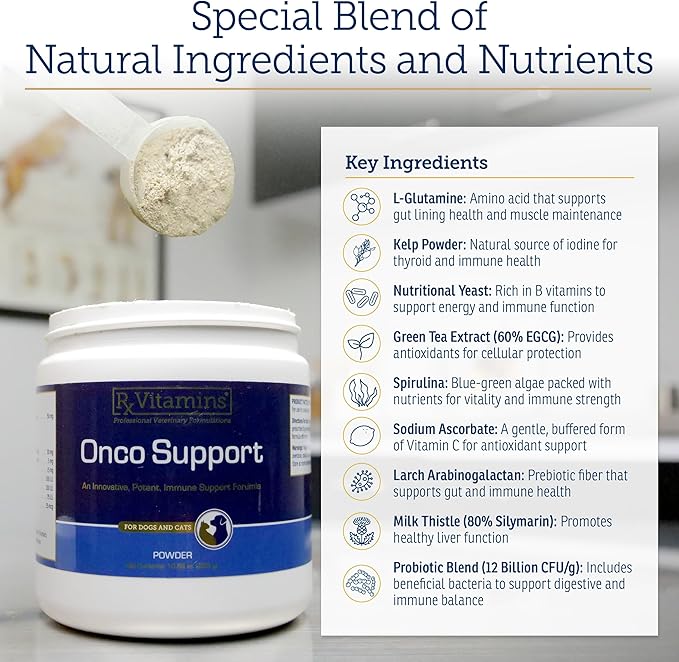 Rx Vitamins Onco Support - Dog & Cat Immune Support Supplement with Milk Thistle, Spirulina, Kelp Powder - Aids in Gut Health and Digestive Support - 300g