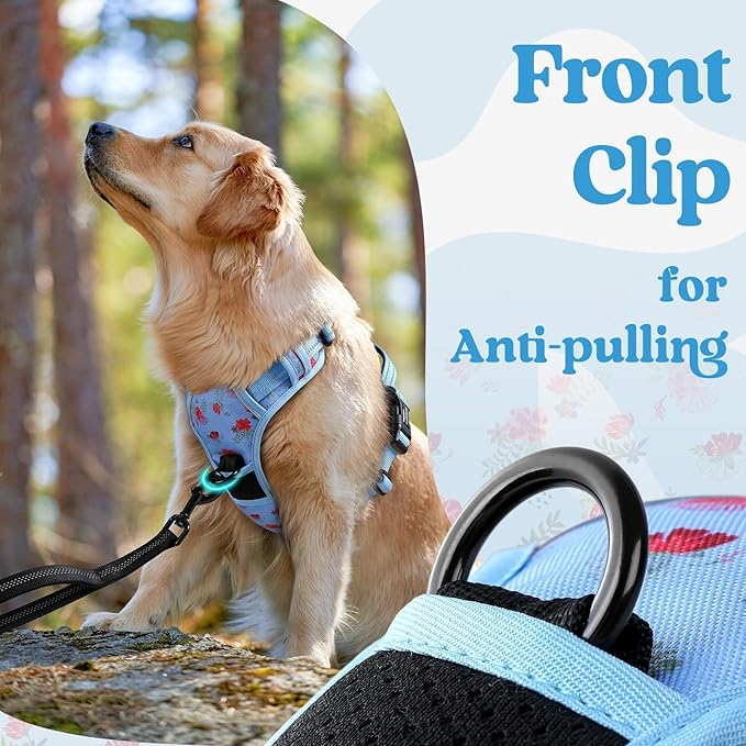 rabbitgoo Dog Harness Small Sized, No Pull Pet Harness with 3 Buckles, Adjustable Soft Padded Vest with Control Handle, Walking Reflective Pet Vest for Small Dogs, Floral Blue, S