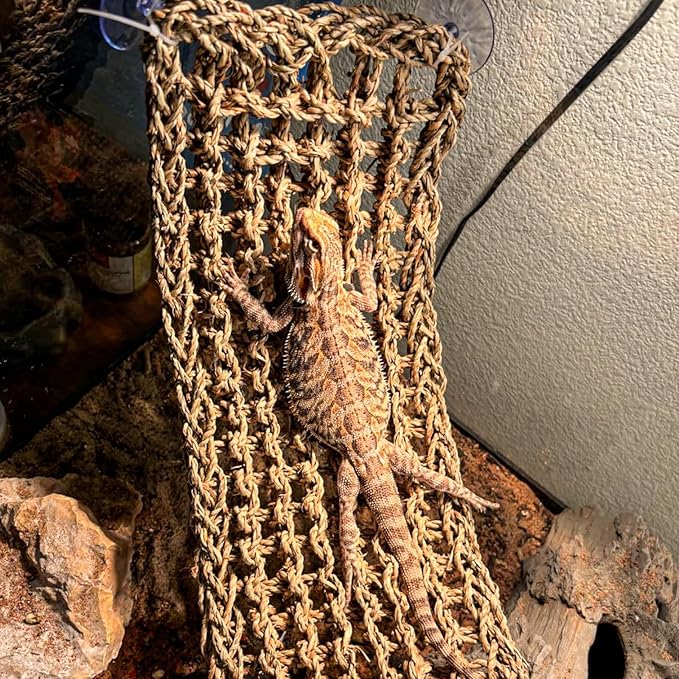 HERCOCCI Bearded Dragon Tank Accessories, Reptile Bridge Hammock Plants Jungle Climbing Vines Terrarium Decor for Bearded Dragon Snake Gecko Lizard