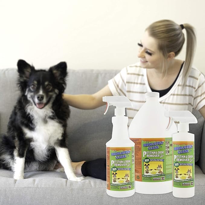 Absolutely Clean Amazing Pet Odor Eliminator for Home, Professional Strength: Natural Enzymes Remove Most Stains in 60 Seconds -Dog/Cat Urine, Vomit, Bile, Feces, Grass, Blood, Drool, More -USA Made