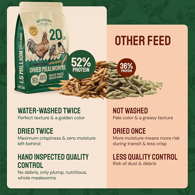 Hatortempt Dried Mealworm Bird Food - 20 Lb Bulk Pack - High Protein Poultry & Chicken Feed - Duck Food & Wild Bird Feed & Quail Treats