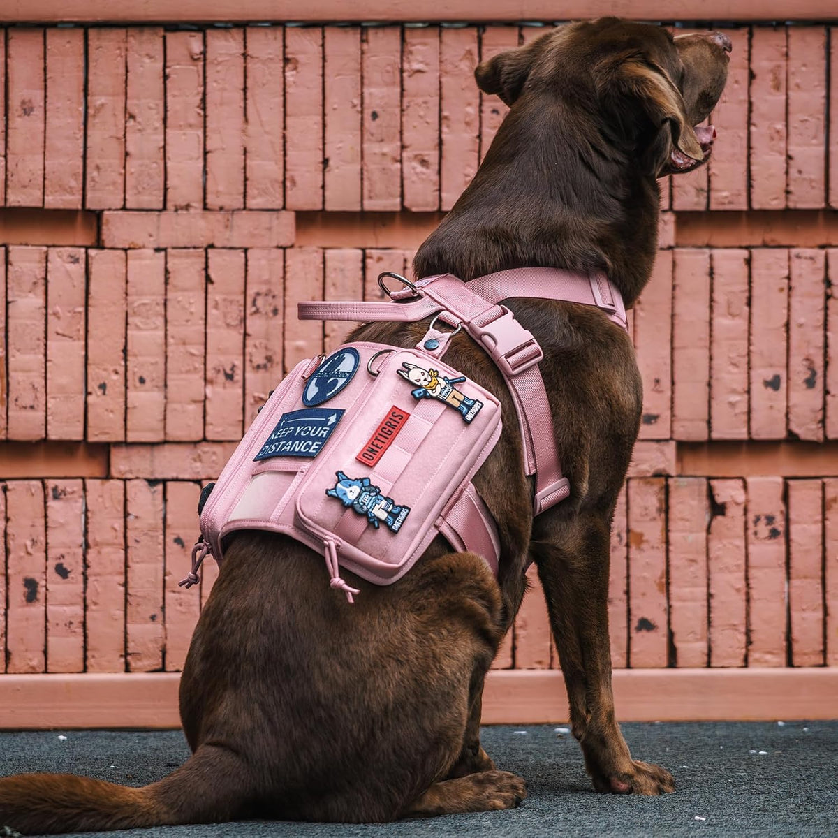 OneTigris Service Dog Vest Harness, Service Dog Cape Guardian Dog Backpack Harness with Pouches Dog Saddle Bag for Small Medium and Large Dogs (Pink, Large)