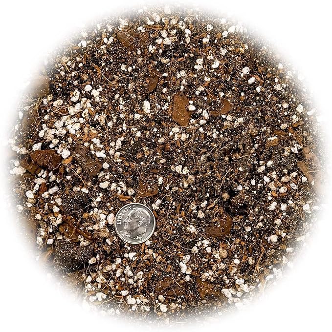 Premium Bromeliad Potting Soil by Gardenera - Unlock The Full Potential of Your Bromeliads - 5 QUARTS