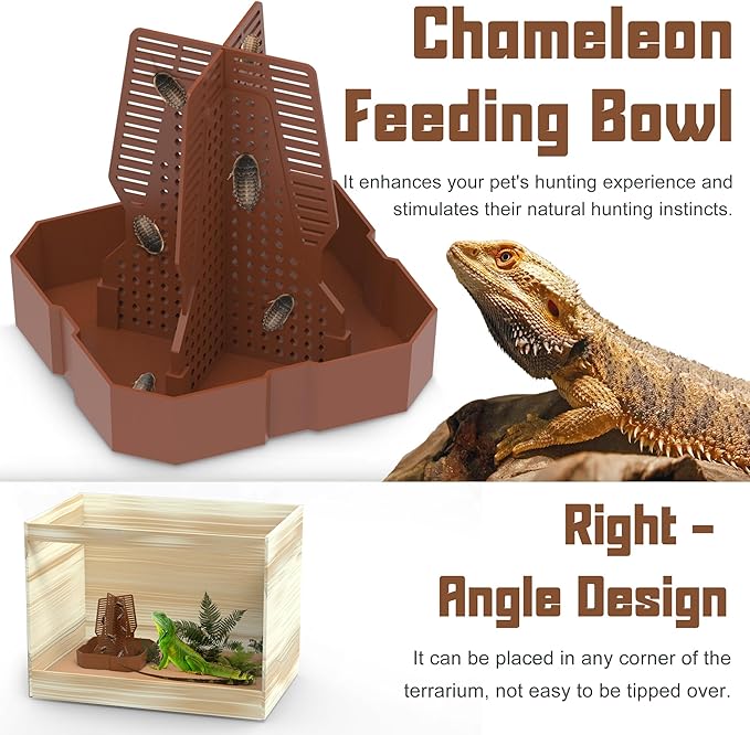 Chameleon Feeding Bowl for Reptile Terrarium, Climbable Design for Reptile to Hunt, Suitable for Feeding Lizards, Bearded Dragons, Geckos, Guardians, Frogs, Reddish Brown, Small