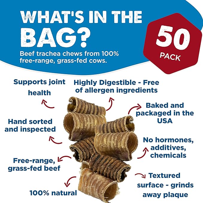 Best Bully Sticks Premium 3 Inch Beef Trachea - 50 Count (Pack of 1) - All-Natural, Grain-Free, Single-Ingredient Treat, Supports Dental Health