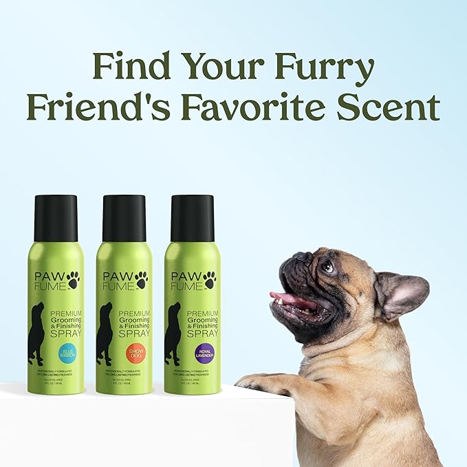 PAWFUME Dog Perfume Spray for Grooming, Blue Ribbon, 1-Pack – Keep Your Pup Fresh All Day – Probiotic, Alcohol-Free, Detangling & Moisturizing – Salon-Quality Dog Spray Deodorizer Perfume