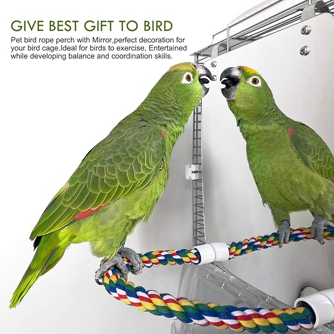 BWOGUE Large Stainless Steel Bird Mirror with Rope Perch Cockatiel Mirror for Cage Bird Toys Swing Parrot Cage Toys for Parakeet Cockatoo Cockatiel Conure Lovebirds Finch Canaries (10.6 Inch)