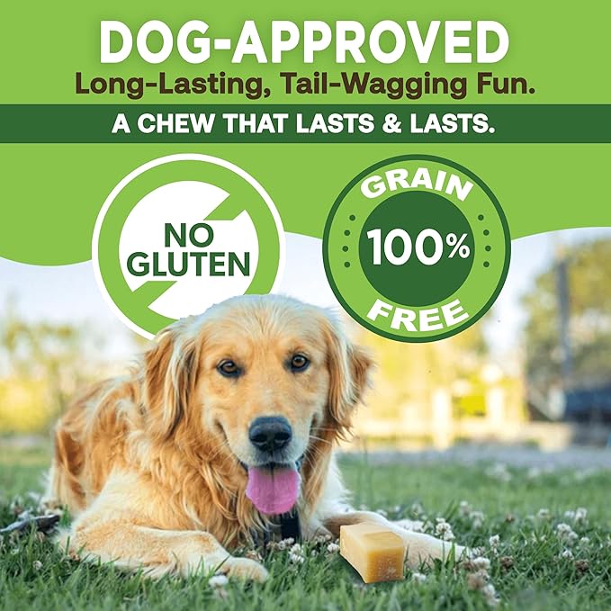 EcoKind Premium Gold Yak Cheese Himalayan Dog Chews, Dog Treats Large Breed, All Natural, High Protein, for Aggressive Chewers, Large - 10 Chews