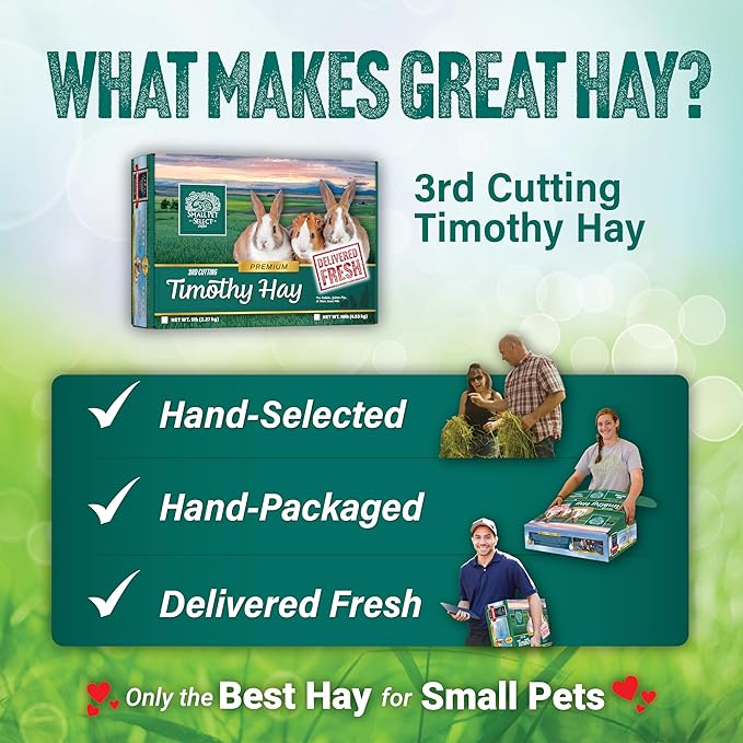 Small Pet Select 3rd Cutting Super Soft Timothy Hay Pet Food for Picky Eaters, Rabbits, Guinea Pigs, and Other Small Animals, Easy to Store Box, 40 LB