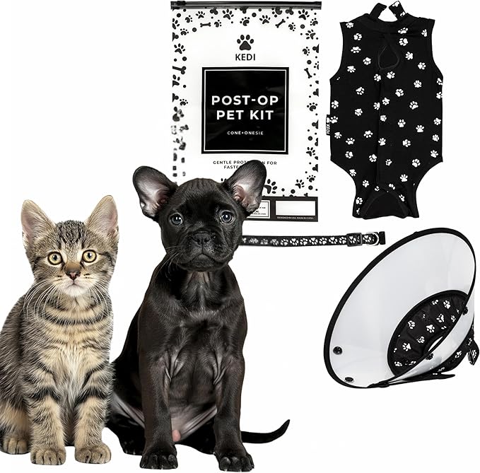 Cat Recovery Cone Kit Post Surgical Soft Pet Vest, Collar, and Non-Irritating Protection Cone for Cats - Comfortable Injury Care Solution (Black with White Paws, Small)