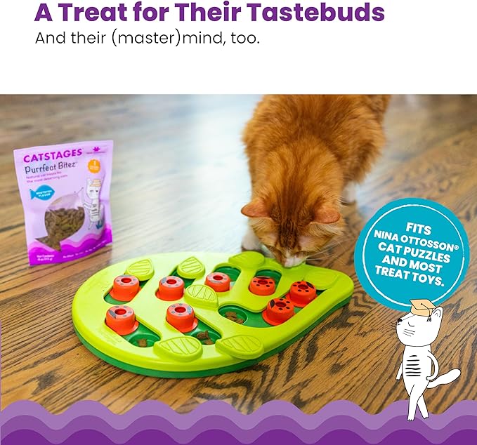 Catstages by Nina Ottosson Purrfect Bitez Natural Crunchy Cat Treats for Puzzles, Toys, Feeders, & Training, USA-Made, Real Whitefish Flavor, 4oz (Pack of 2)