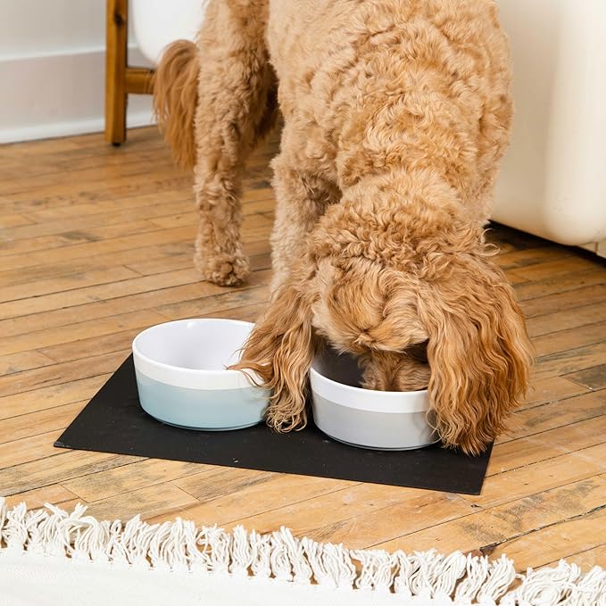 Waggo Dipper Ceramic Dog Bowl for Small and Large Breeds - Heavyweight and Durable Pet Food and Water Dish Crock, Dishwasher Safe, Modern (Teracotta, Medium)