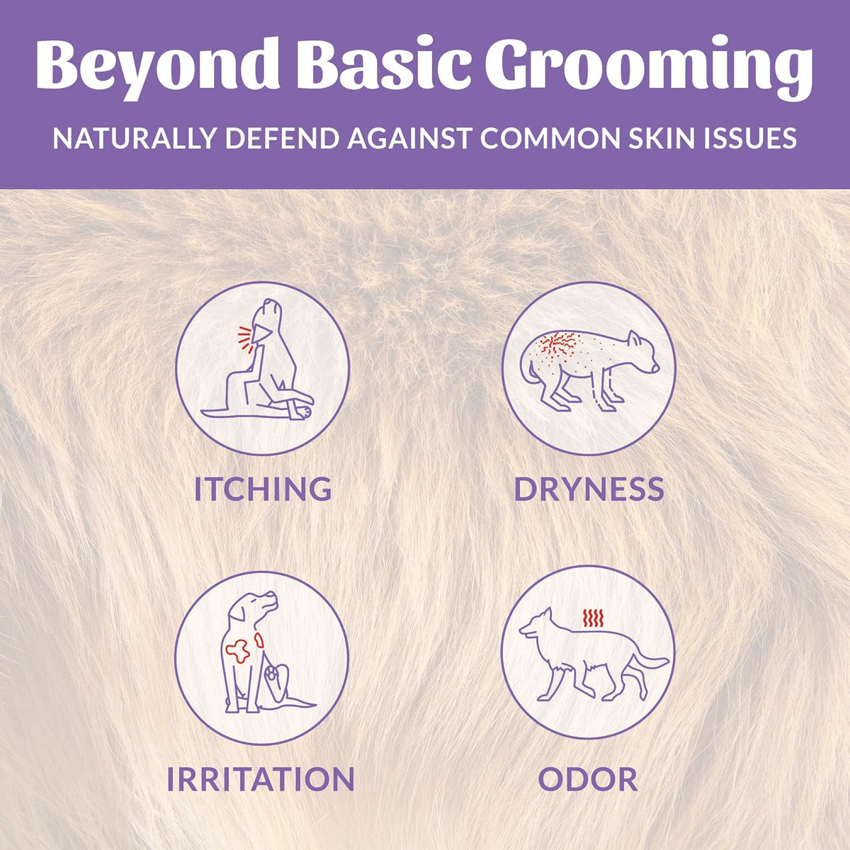Skout's Honor Probiotic Dog Shampoo & Conditioner with Avocado Oil & Omega-3s, 97% Natural, Paraben & Sulfate-Free, Cruelty-Free, 16oz, Lavender