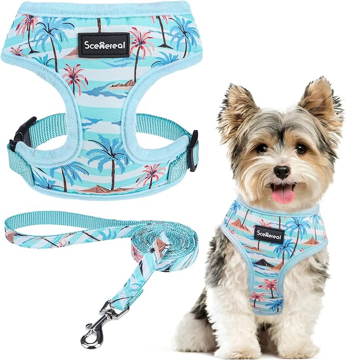 SCENEREAL Small Dog Harness and Leash Collar Set - No Pull Dog Harness for Small & Medium Sized Dogs - Soft Mesh Vest for Puppies, Chihuahua, Yorkie, Spring Summer Hiking Walking, Coconut Tree S