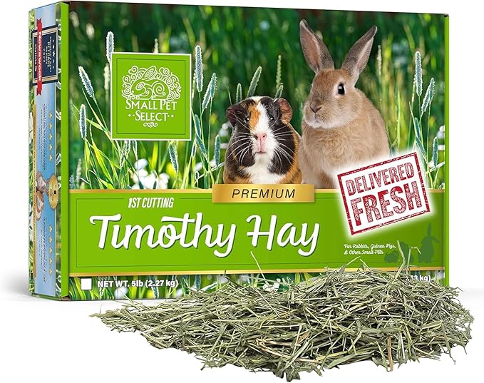 Small Pet Select 1st Cutting Timothy Hay, Animal Food for Guinea Pig, Rabbit, Hamster, Bunny, or Chinchilla, Natural Hay Grown in the USA, 5lb
