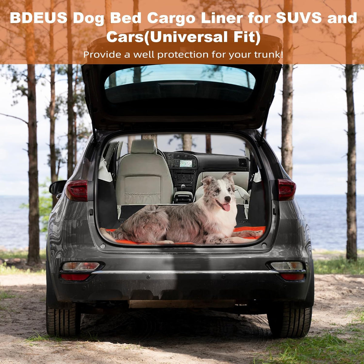 BDEUS 51x35In Extra Large Size Outdoor Dog Bed, Waterproof & Portable Camping Travel Pet Mat, Easy to Clean, Washable Odor Resistant Pet Cooling Pad (Orange)