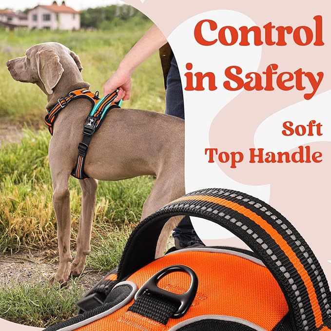 rabbitgoo Dog Harness Medium Sized, No Pull Pet Harness with 3 Buckles, Adjustable Soft Padded Vest with Control Handle, Walking Reflective Pet Vest for Medium Dogs, Orange, M