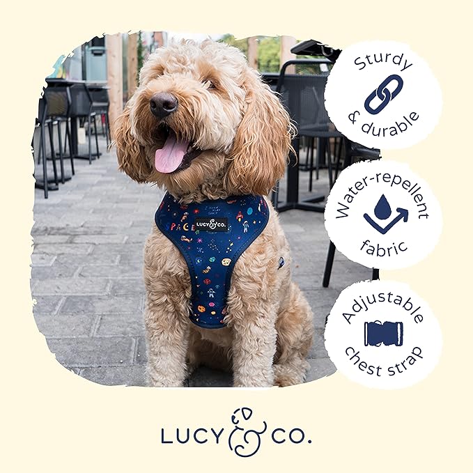 Lucy & Co. Space Doodle, Cute Reversible Dog Harness Walking Halter - Best Designer Pet Harnesses for Medium Dogs - Padded Adjustable Vest for Easy Walking (X-Small)