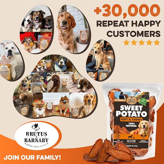 Sweet Potato Slices For Dogs - Soft & Chewy - Single Ingredient Dog Treats, Healthy 100% Natural Sweet Potato Dog Treats With No Added Preservatives - Softer & Great For Puppies Or Senior Dogs (2lb)