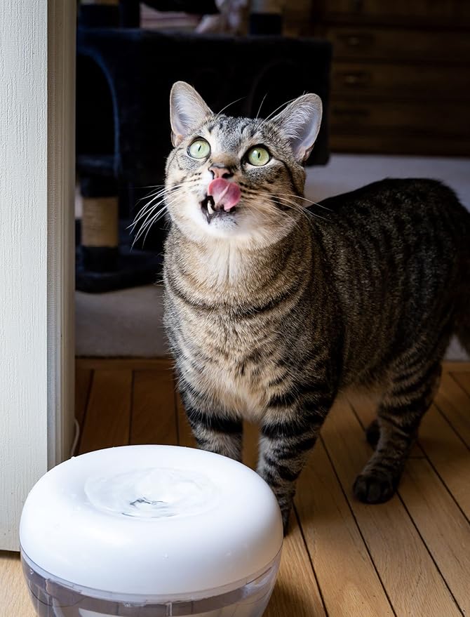 IntelliLeash PURRoducts Purrfect Water Fountain for Cats and Small Dogs with Premium 5-Layer Filter That Lasts Up to Two Months. Splash Free and Tip-Proof Design. Low Water Auto Shut-Off Feature.