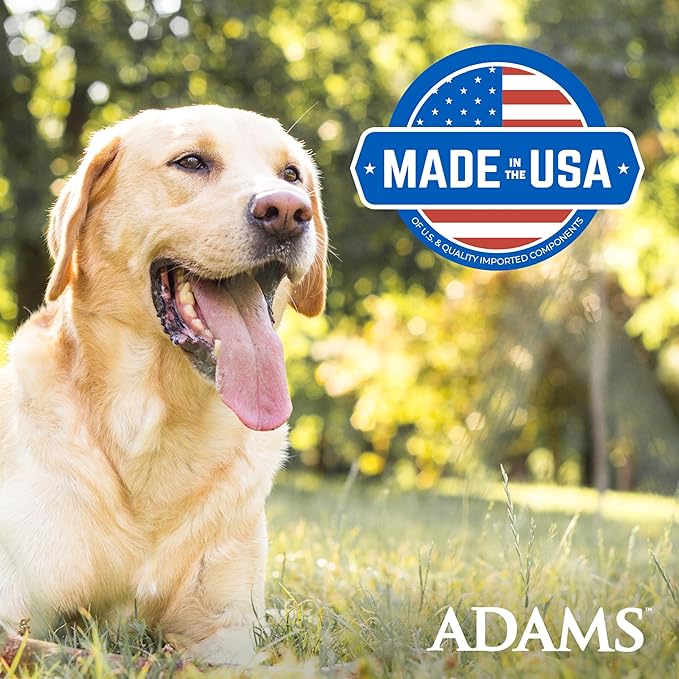 ADAMS Plus Flea & Tick Shampoo with Precor IGR for Cats, Kittens, Dogs & Puppies Over 12 Weeks Of Age, Sensitive Skin Flea Treatment, Kills Adult Fleas, Flea Eggs, Ticks, and Lice, 1 Gallon