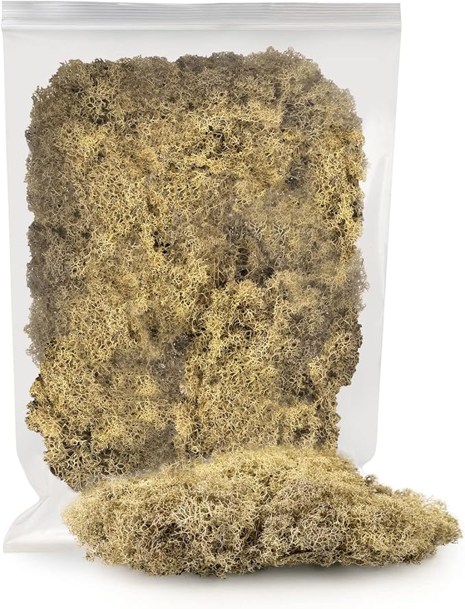 GARDENERA Premium Preserved Reindeer Moss for Potted Plants, Terrariums, Fairy Gardens, Arts and Crafts or Floral Decor Design in Natural (1 Quart Bag)