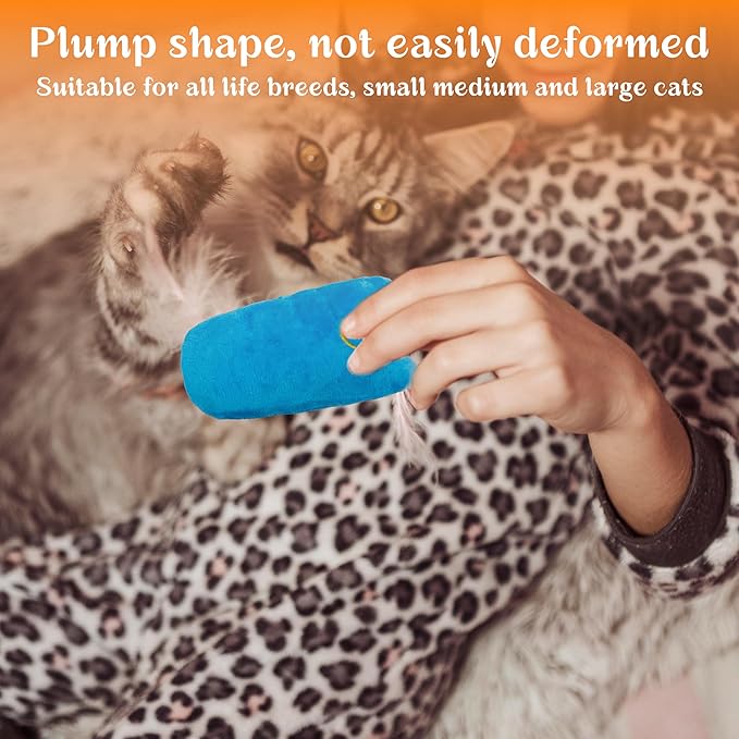 Cat Toys for Indoor Cats, 5Ps Cats Fetch Toys, Fluffy Toys for Playing, Interactive Kitten Toys, Kitty Chew Teething Toys, Cat Chew Toy for Kittens (Multi Color, 5 Pack)