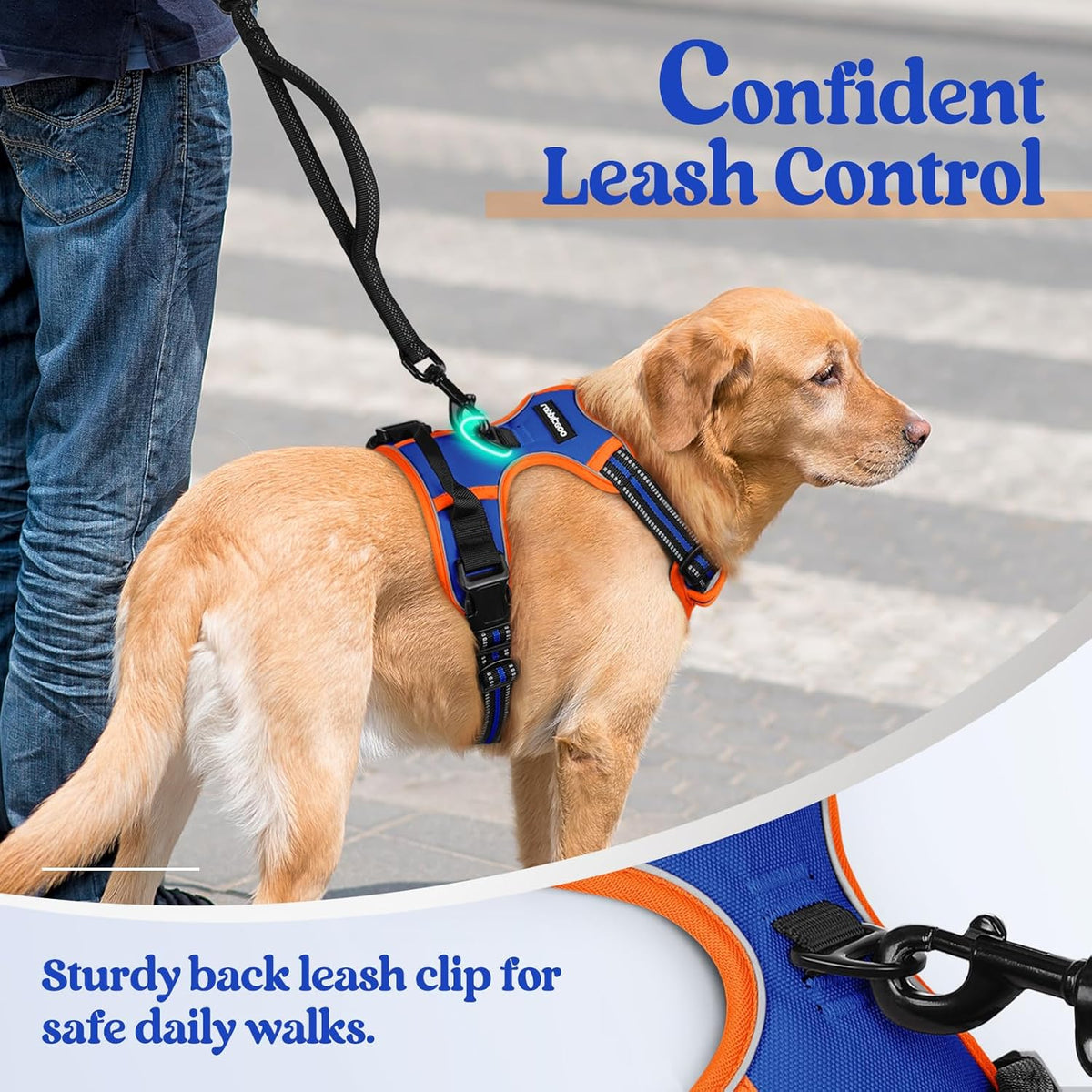 rabbitgoo Dog Harness No Pull with 2 Leash Clips, Adjustable Soft Padded, Reflective Oxford No Choke Pet Vest with Easy Control Handle for Large Dogs, Blue & Orange, L