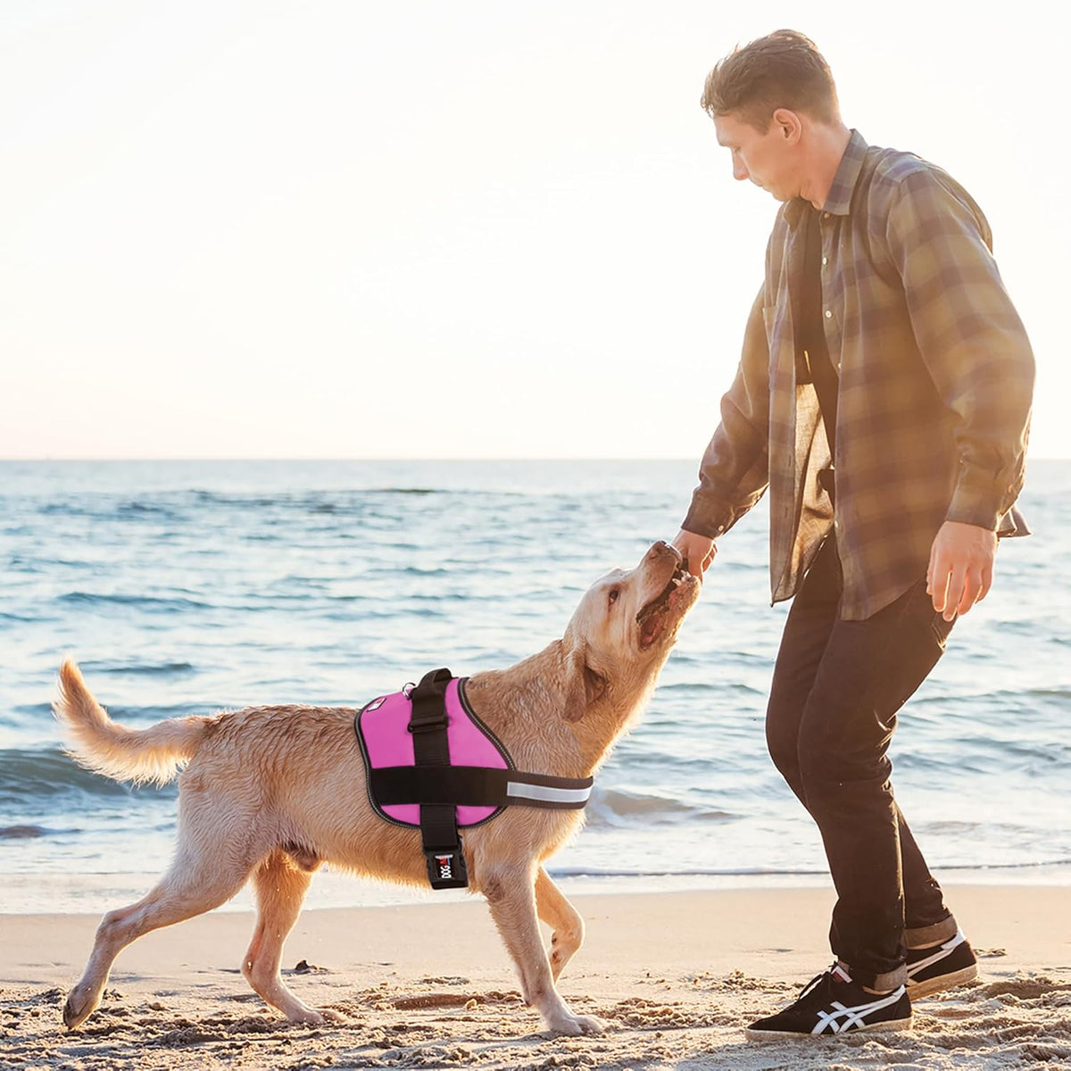 Dogline Reflective No-Pull Adjustable Vest with Handle for Walking, Training, Service Breathable No - Choke Harness for Small, Medium or Large Dogs Room for Patches Girth 15 to 18 in Pink