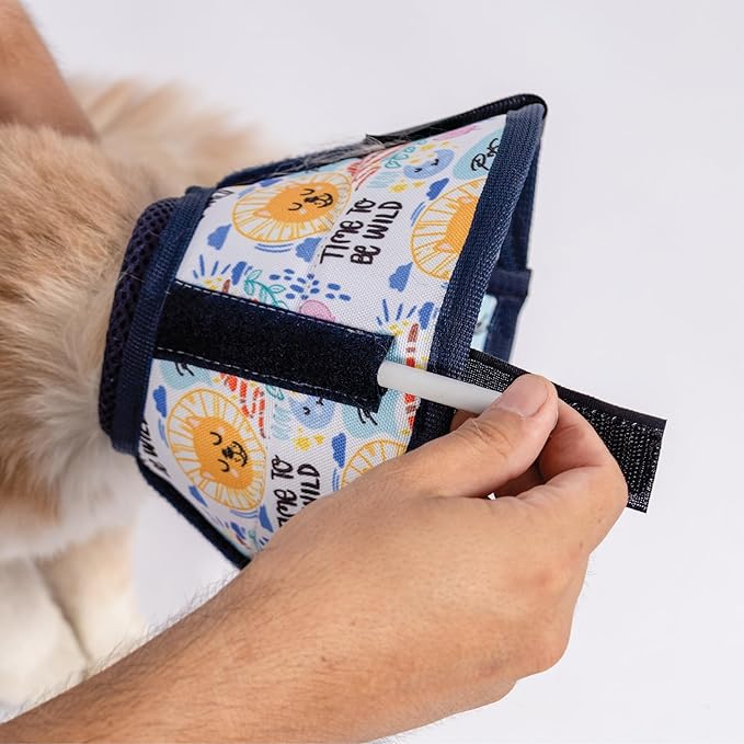 Cat Cone Collar – Colorful Cat Pattern - Lightweight Recovery Cone for Cats, Anti-Lick & Anti-Scratch, Vet Recommended, Elizabethan Collar (Colorful, XXS Long [Neck Girth: 7.5"-10.3"])