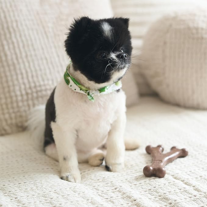 SPOT Bam-Bones Wishbone - Made with Strong Bamboo Fiber, Durable Long Lasting Dog Chew for Light to Moderate Chewers, Great Toy for Adult Dogs & Teething Puppies Under 30lbs, 5.25in, Bacon Flavor