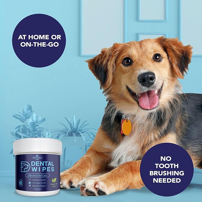 NOVEHA Pets Dental Finger Wipes for Dogs & Cats | Freshens Breath, Reduces Plaque | Healthier Gums | Clean Teeth No Toothbrush | Vet Recommended Effective Natural Oral Care (50 pcs, Mint)