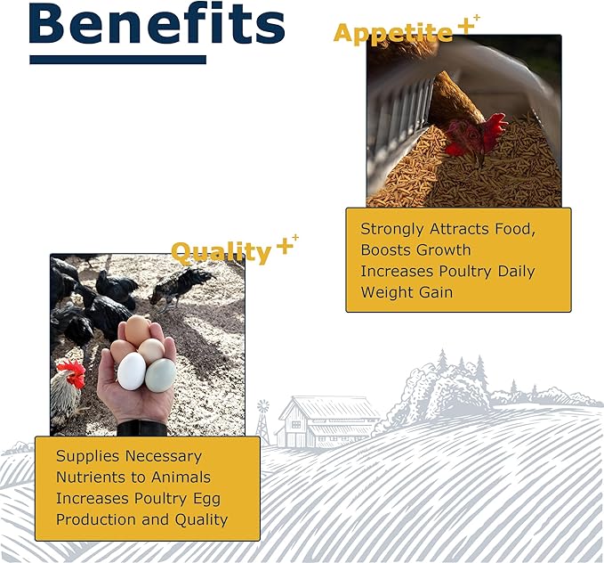 Nutrient-Rich Chicken Feed - 1LB Dried Black Soldier Fly Larvae, 100% Natural, 85X More Calcium Than Mealworms, Ideal for Molting & Laying Hens, Ducks, and Wild Birds, Reptiles and Hedgehogs