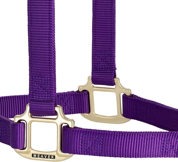 Weaver Equine Nylon Horse Halter, Triple-Ply Cheek Design, Original Non Adjustable Halters for Horses, Equine Tack,Average Size, Black