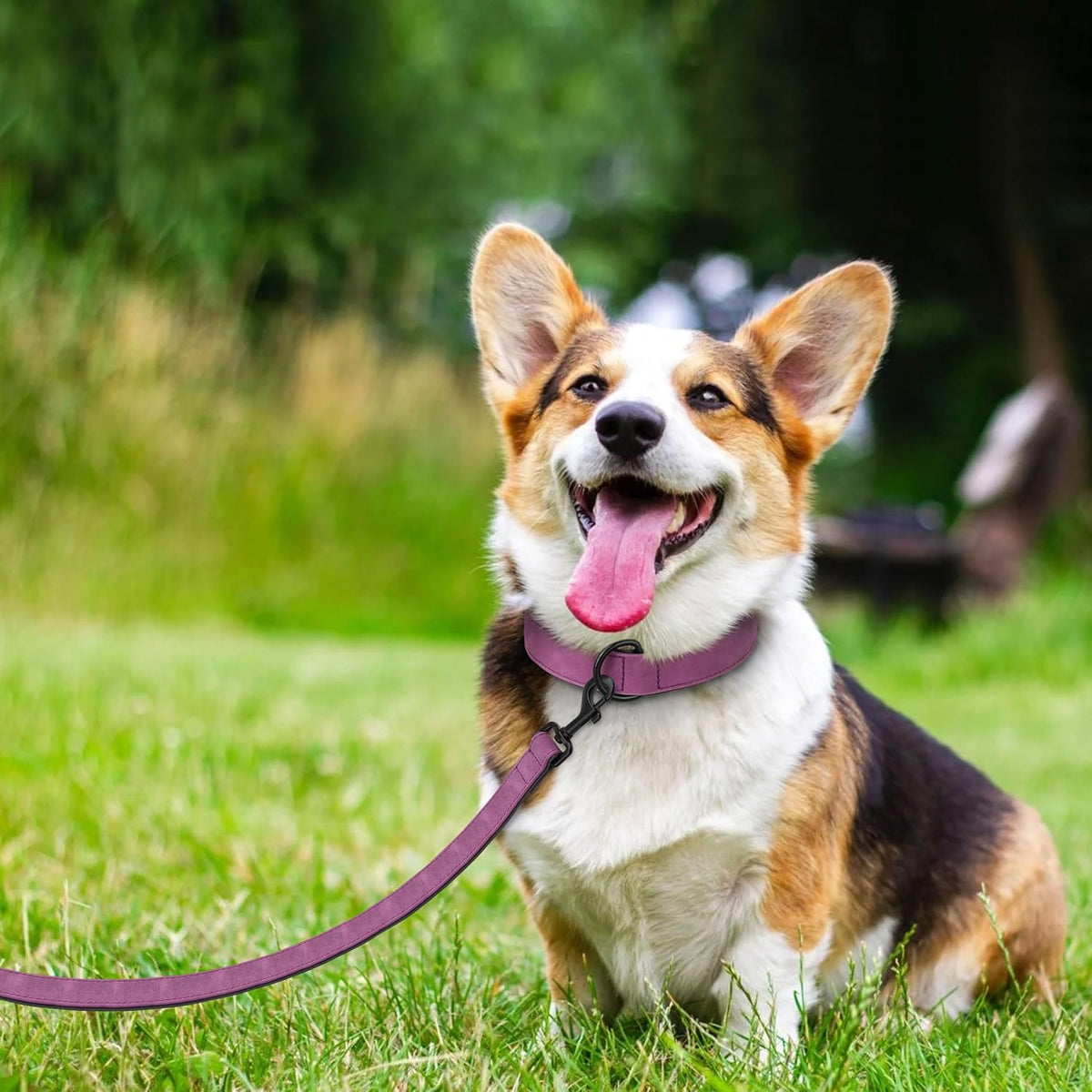 Didog Soft Padded Leather Dog Collar and Leash Set, Heavy Duty Dog Leash and Collar Set with Metal Buckle, Breathable Dog Collars with 4FT Leather Dog Leash for Small Medium Large Dogs, Purple, XL