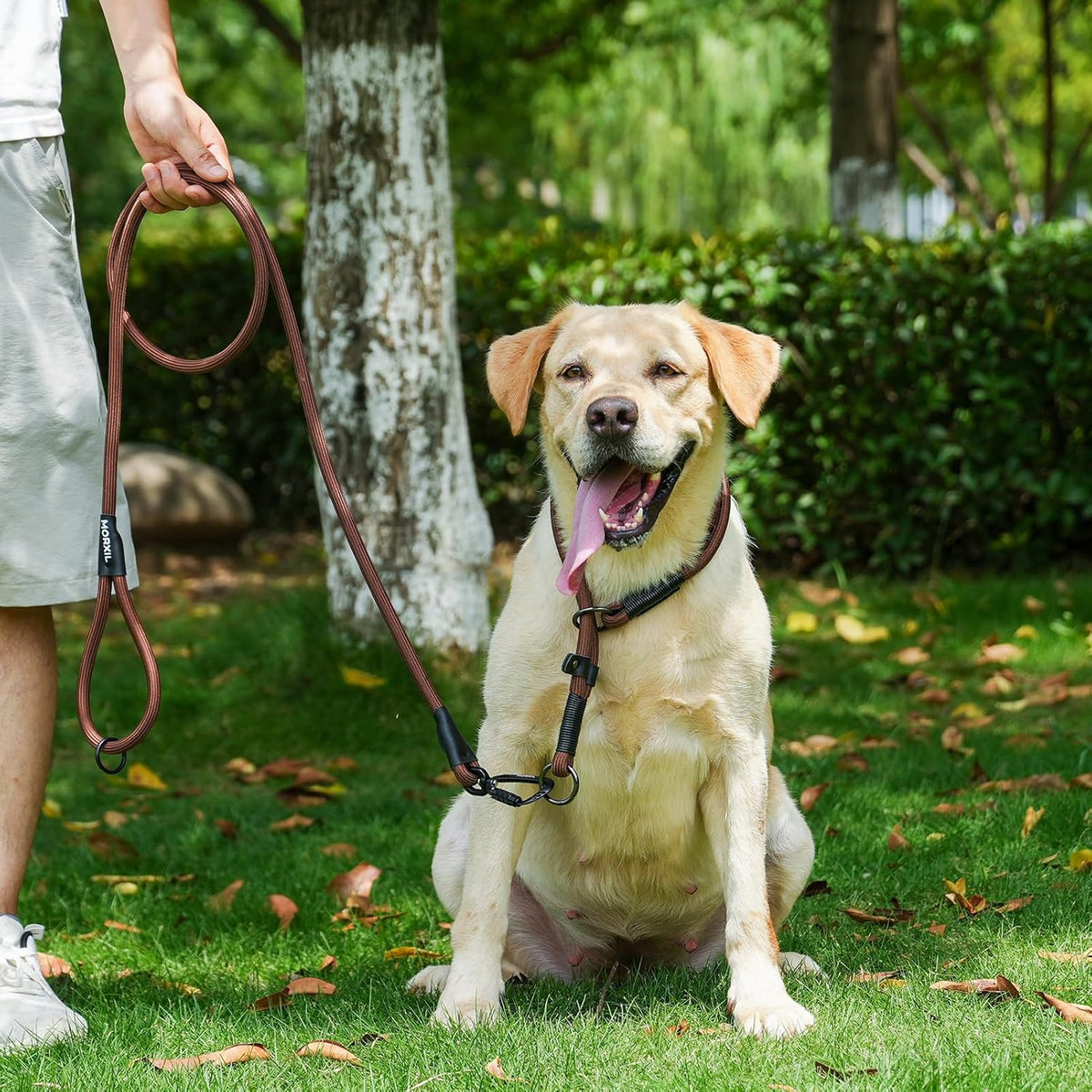 Rope Dog Leash, 6 Foot Heavy Duty Dog Leash with Aviation Aluminum Auto Locking Carabiner, Strong Nylon Pet Lead for Small, Medium, Large Dogs (Rose Red, 6FT)