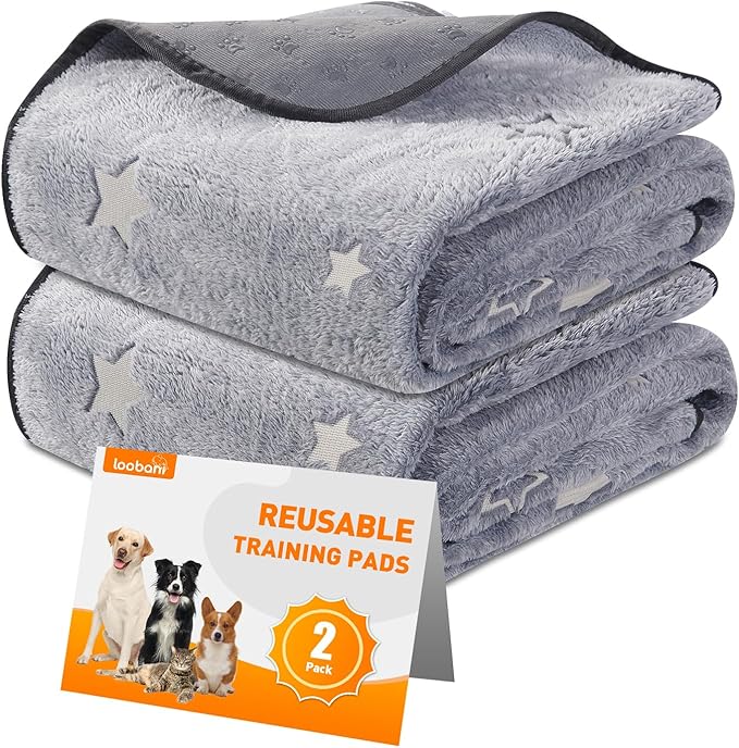 LOOBANI Washable Pee Pads for Dogs, Fast Absorption Reusable Puppy Pads, Waterproof Whelping Mats, Non Slip Training Pet Playpen Mat for Floor, Dog Crate, Grey 2 Pack 41 x 41 in