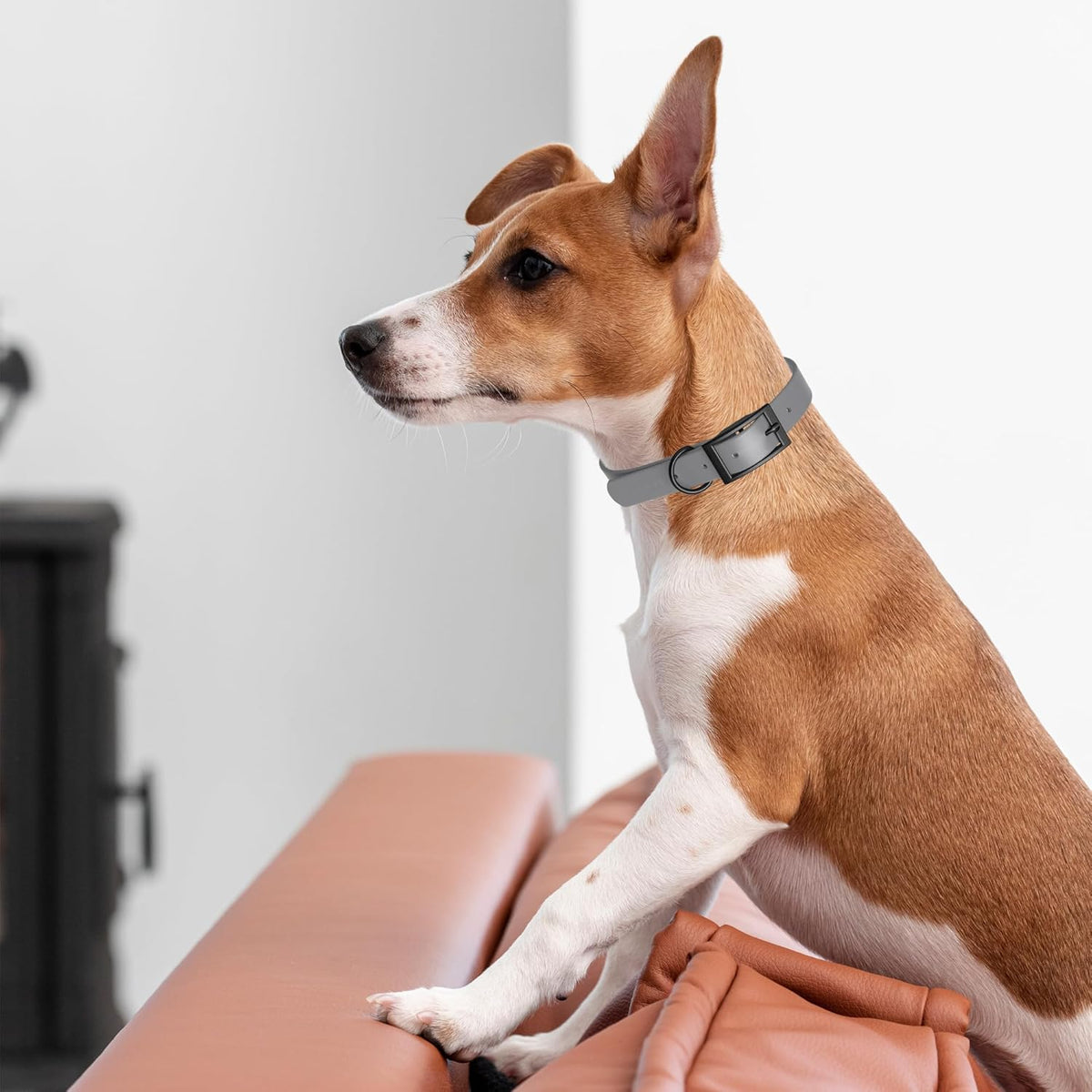 Dogline Biothane Waterproof Dog Collar Strong Coated Nylon Webbing with Black Hardware Odor- Proof for Easy Care Easy to Clean High Performance Fits Small Medium or Large Dogs, Battleship Gray