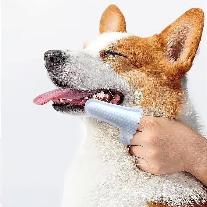 H&H Pets Disposable Finger Toothbrush Dental Dry Wipes for Dogs & Cats -Ultra Soft, Fragrance Free, Hypoallergenic, 60 Count