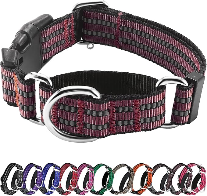 Hikiko Martingale Dog Collars Reflective Nylon Dog Collar with Quick Release Buckle Adjustable Training No Slip Dog Collar (Large, Burgundy)
