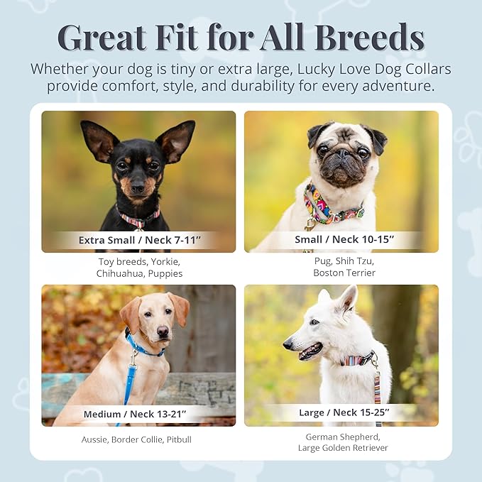 Lucky Love Dog - Adjustable Dog Collar with Easy Click Buckle for Small Dogs, Durable, & Comfortable for Male & Female Dogs, Pet Collar for Puppies & Adult Ones - Penny, Small