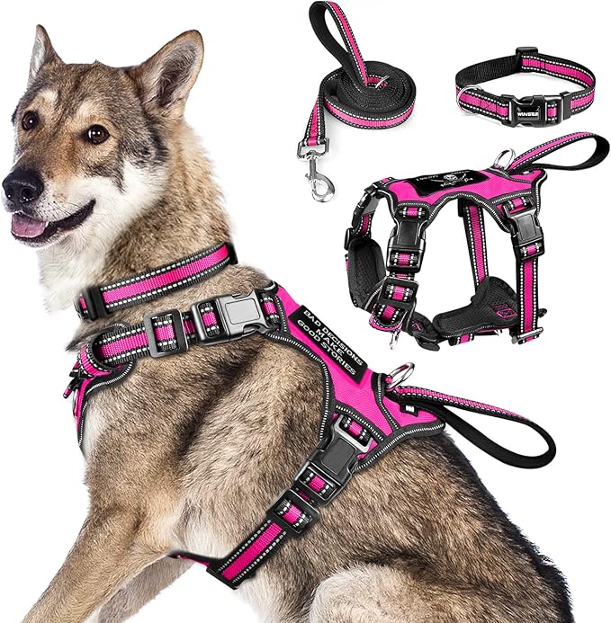 WINSEE Pet Harness Collar and Leash Set, All-in-one Reflective Dog Harness No Pull with Adjustable Buckles for Puppies, Small, Medium, Large, and Extra-Large Dogs (X-Large, Rosy)