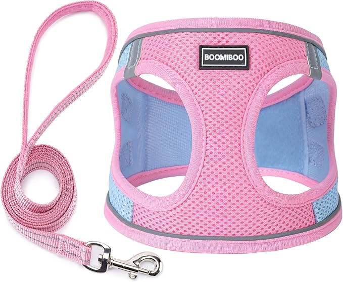 Dog Harness with Leash Set, No Pull Adjustable Reflective Step-in Puppy Pet Vest Harnesses for Small Medium Large Dogs and Cats,Pink Green S