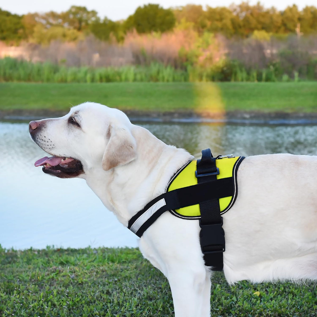 Dogline Dog Harness, Reflective No-Pull Adjustable Vest with Handle for Walking, Training, Breathable, No - Choke Harness for Small, Medium or Large Dogs Room for Patches Girth 33"-46" in Lime Green